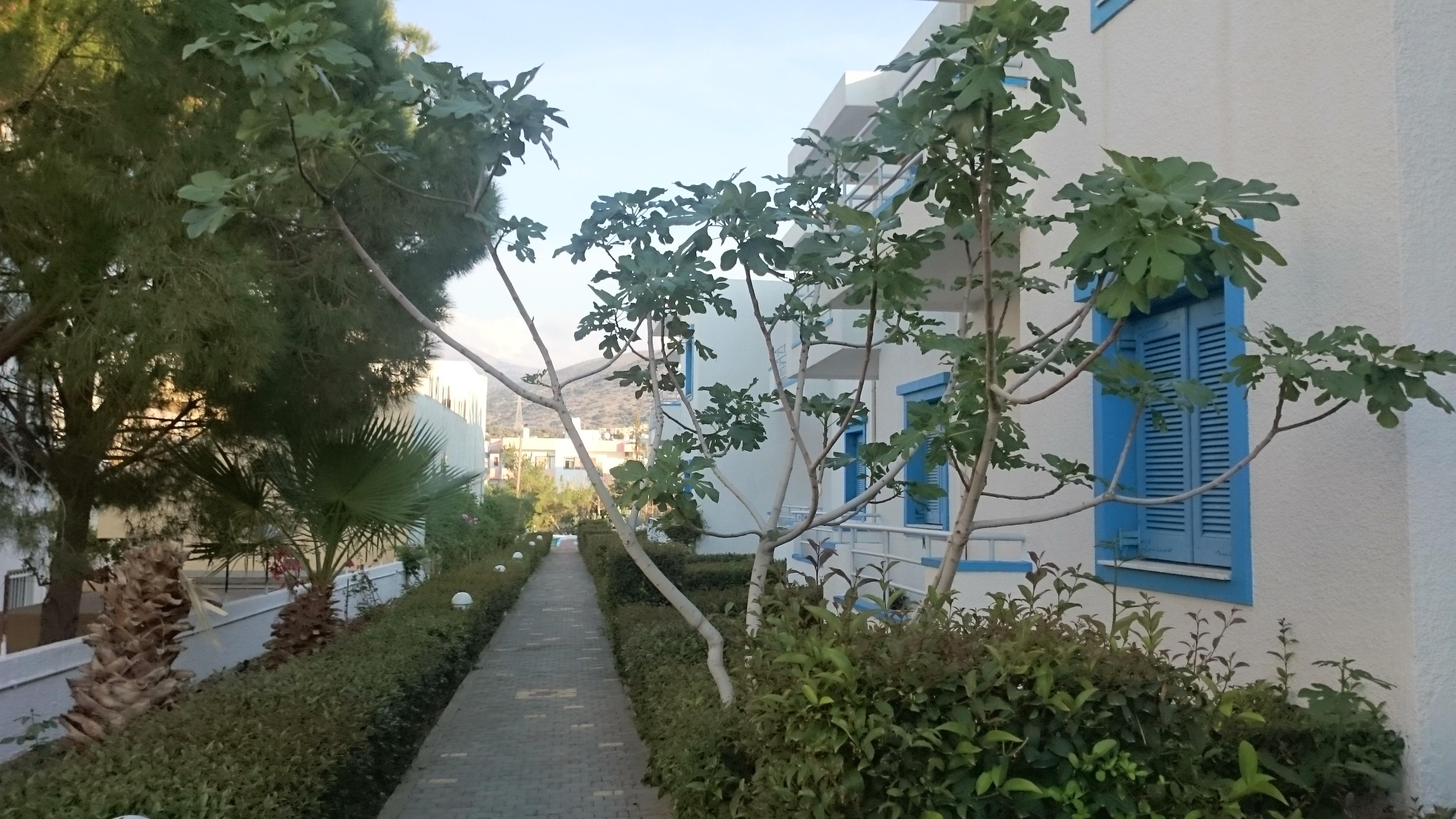 Amazones Villas Apartments Hersonissos  Exterior foto